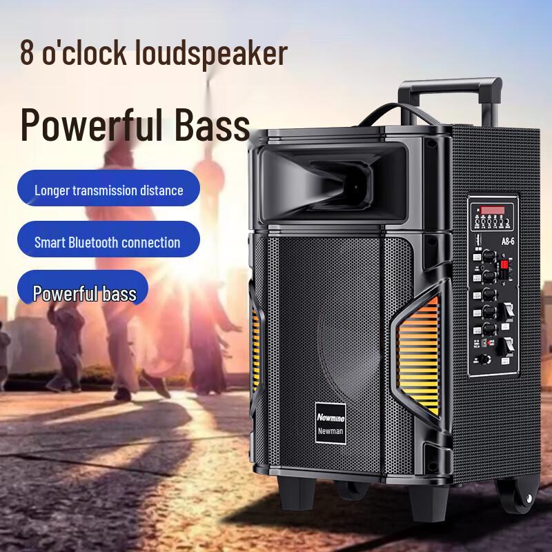 Newmine A8 Portable Trolley Speaker with Dual Mics CN Plug (adapter Included)