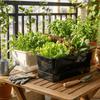 Self Watering Seedling Tray Plastic Growing Box Practical Plant Nursery Pot  Vegetable Gardening