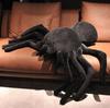 Maskottchen Spinne Tarantula Kissen Groß Spider Halloween