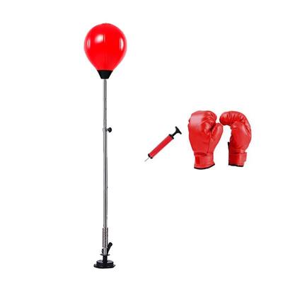 Freestanding Boxing Speed Ball Kit