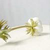 Artificial Real Touch Dandelion Bouquet Indoor Home Decoration (white - 10 Pieces)