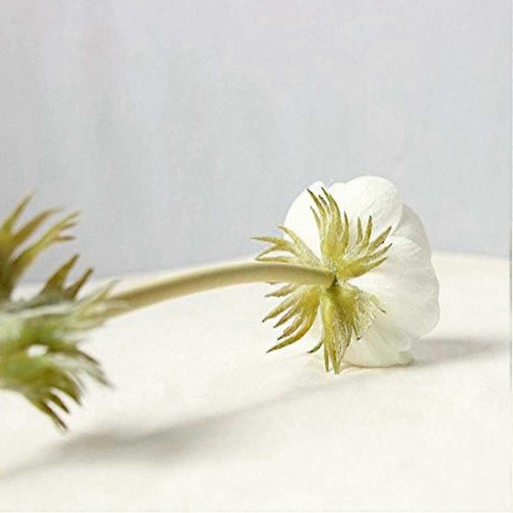 Artificial Real Touch Dandelion Bouquet Indoor Home Decoration (white - 10 Pieces)