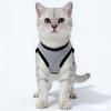 Seasonal Cute Bear Vest for Small Dogs & Cats - Anti-Shedding Bichon Frise & Silver Gradient Shorthair Kitten Clothing
