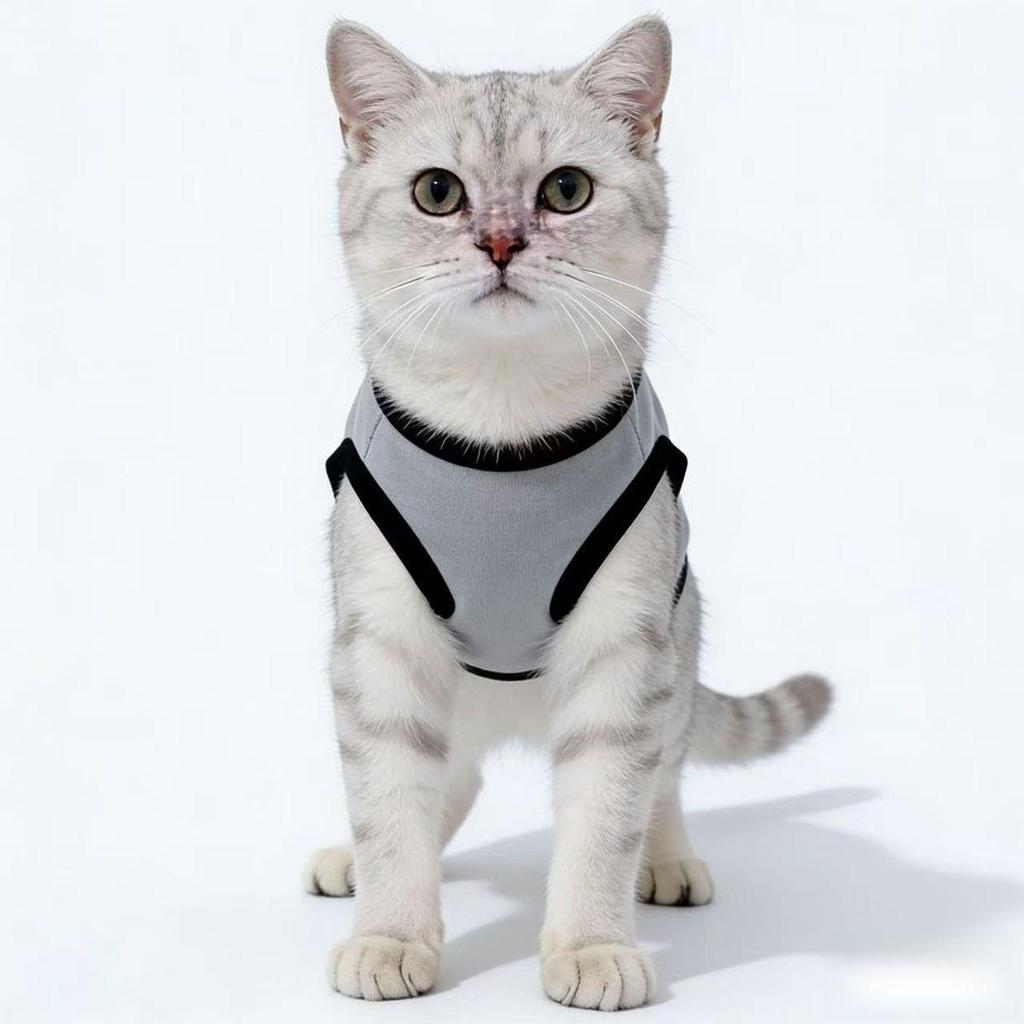 Seasonal Cute Bear Vest for Small Dogs & Cats - Anti-Shedding Bichon Frise & Silver Gradient Shorthair Kitten Clothing