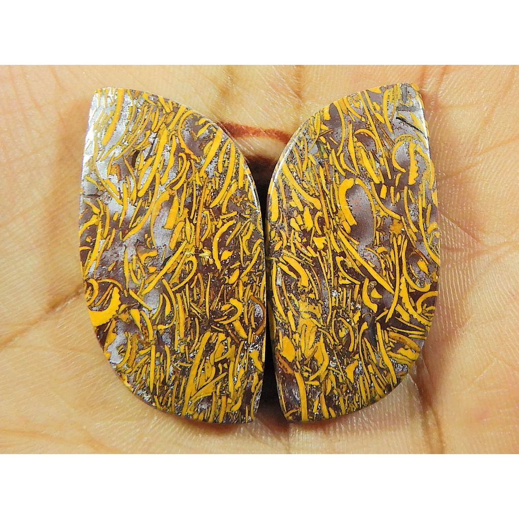 17X31X03 MM Mariam Jasper Fancy Shape Matched Earring Pair Loose Gemstone SK-4690