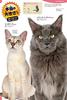 Dogs, Cats, and Pets (Gakken's Illustrated Encyclopedia LIVE)