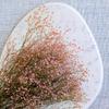 Gipsówka Stabilizowana - (Gypsophila) - Pastelowy Różowy