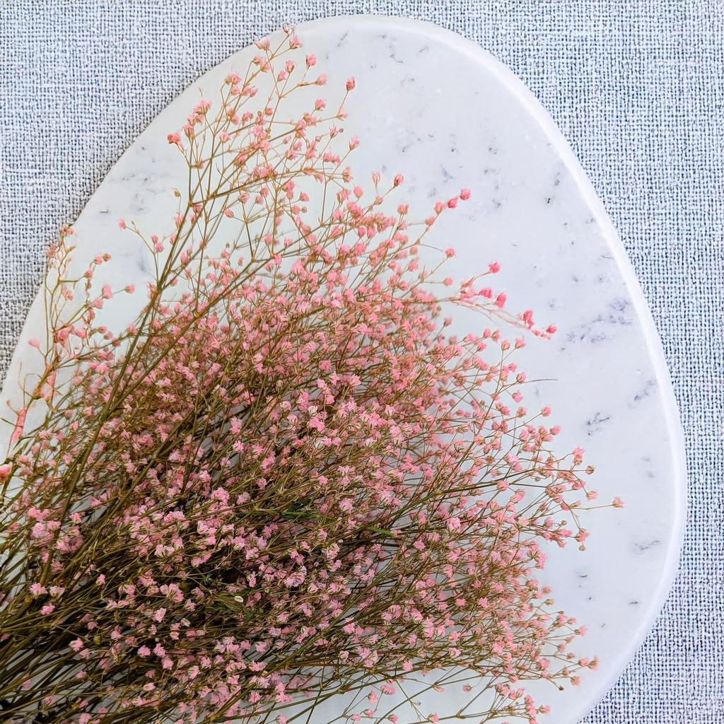 Gipsówka Stabilizowana - (Gypsophila) - Pastelowy Różowy