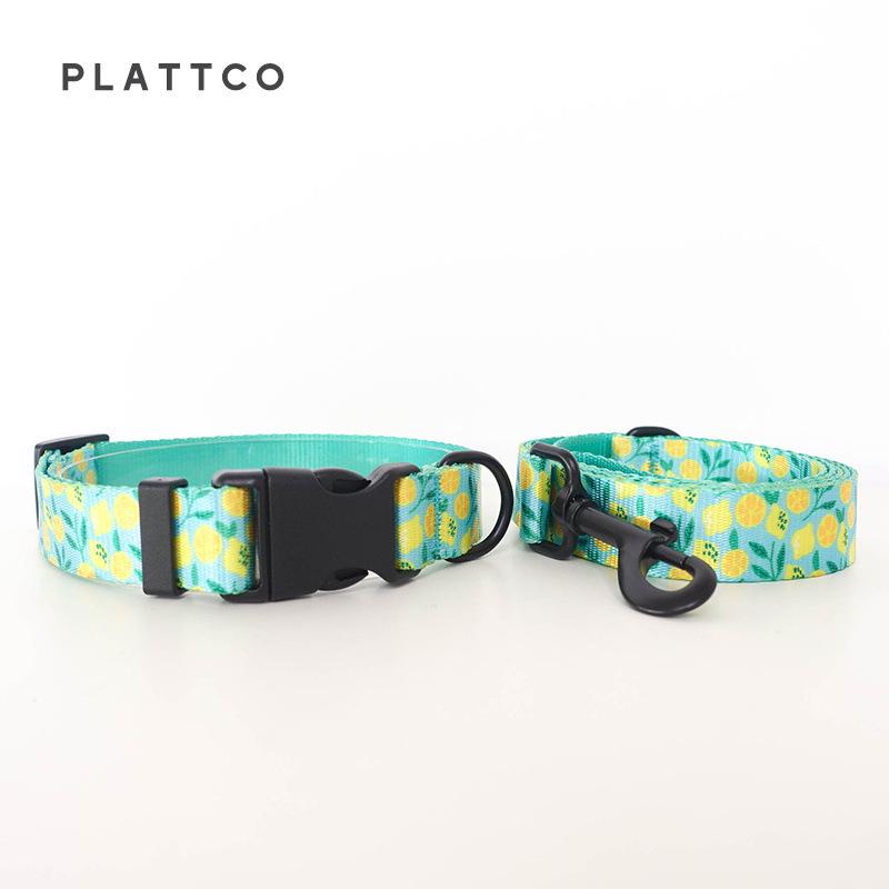 PLATTCO Fashion Green Lemon Dog Collar & Leash Set - PDC329 M