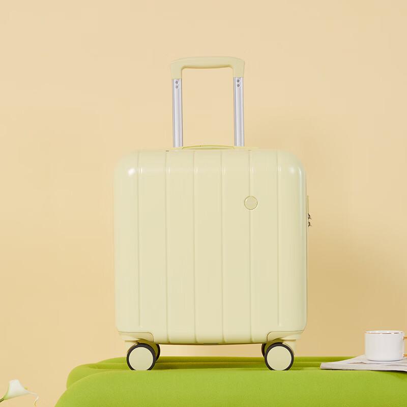 Traveler CLQ 18-inch Carry-On Suitcase