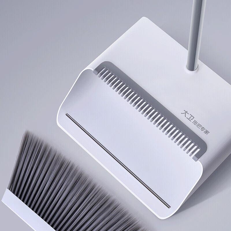 David F2 Extended Broom & Windproof Dustpan Set