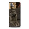 Britische Kurzhaarkatze Telefonhülle für Xiaomi Redmi Note 12 5G 10C 10 11 9 8 Pro Plus 9S 7 8T 9T 9A 8A 9C K50 K40 Gaming-Abdeckung