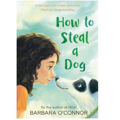 How To Steal a Dog / Barbara O'Connor : English Novel
