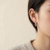 Exquisite European and American Style Hoop Earrings - Light Luxury, Super Shiny, Simple, and Stylish.