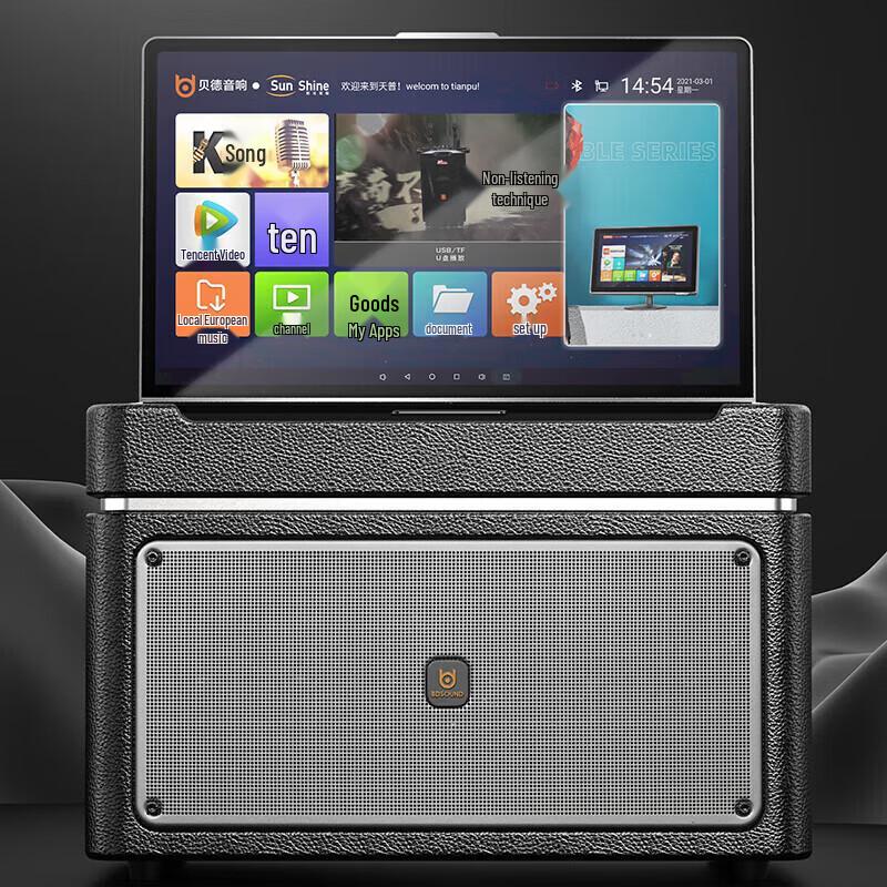 Portable KTV Bluetooth Speaker with Display and Dual Mics (CN Version)