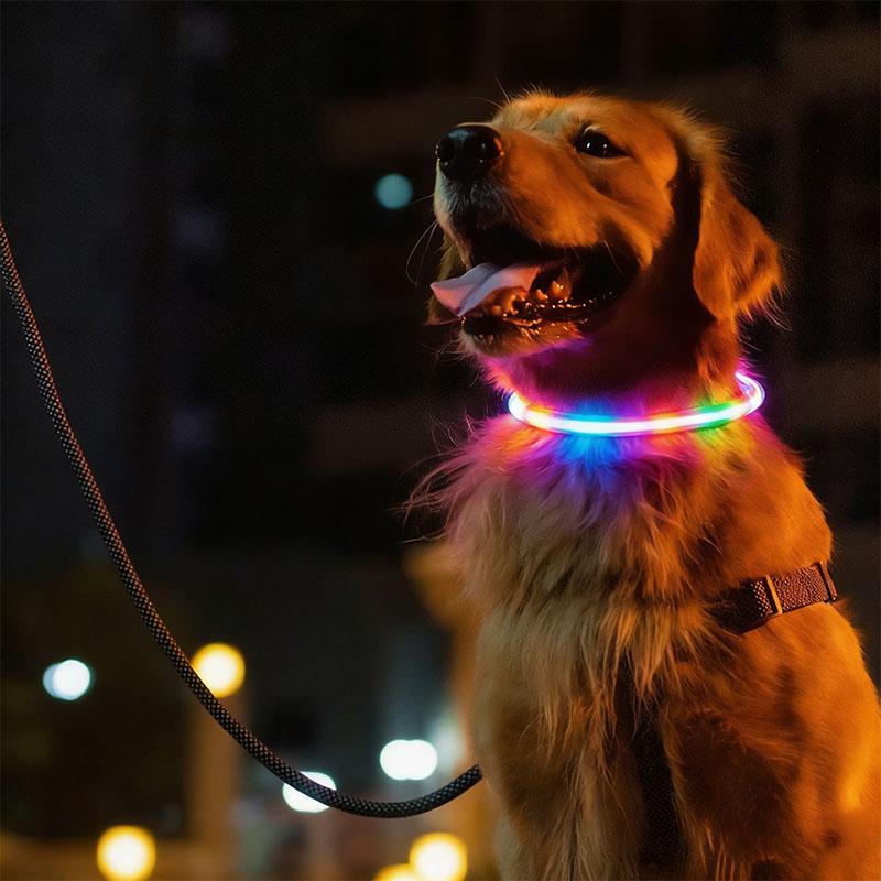 New LED Dog Collar USB Rechargeable,3 Mode Adjustable Glowing Dog Collar for Night Walking,Safe Reflective Pet Collar