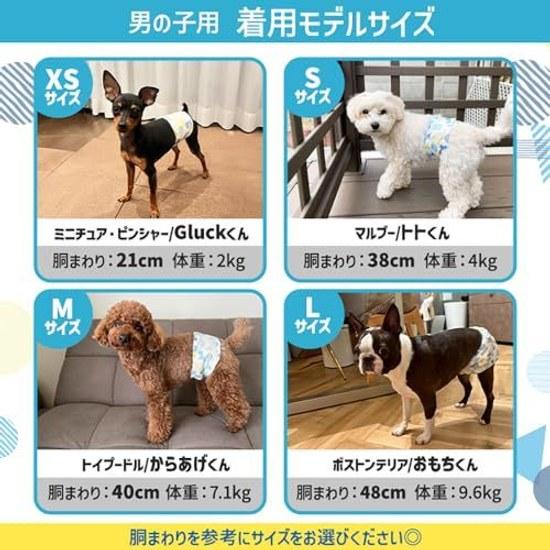 Iris Ohyama Pitafit Pet Diapers M 65 Sheets Male Dogs Long Duration MNPD-M65