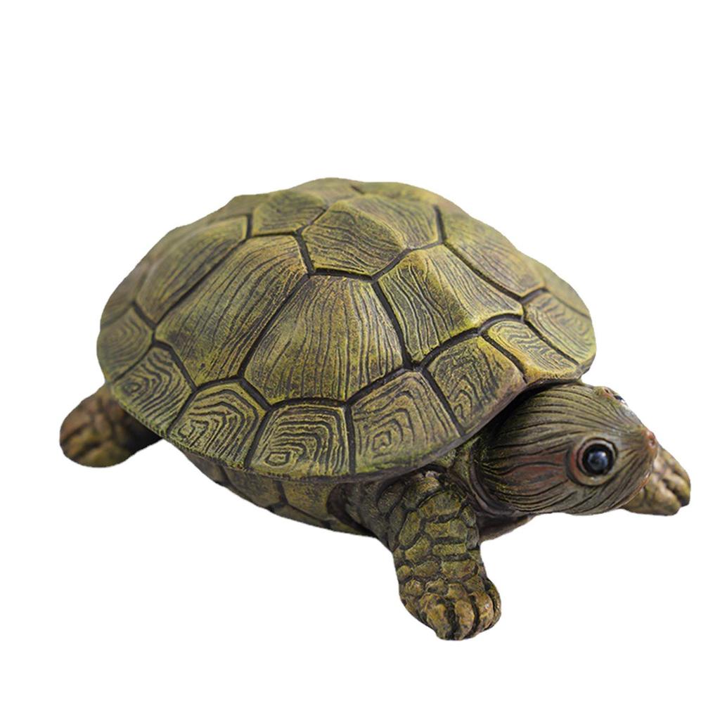 Jewelry Box Necklace Earrings Bracelets Decor Holder Turtle Figurine Statue