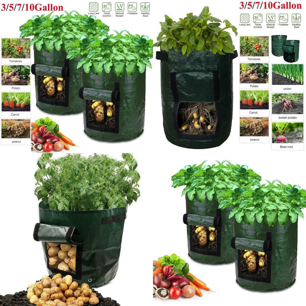 Durable And Reusable Potato Bags For Balcony And Patio Gardening 10 Gallon Capacity