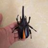 Biographical Analysis of Deer Antler Beetle plus Claw Shaped Insect Beetle Gacha Simulation Animal Movable Joints Figure Playthings