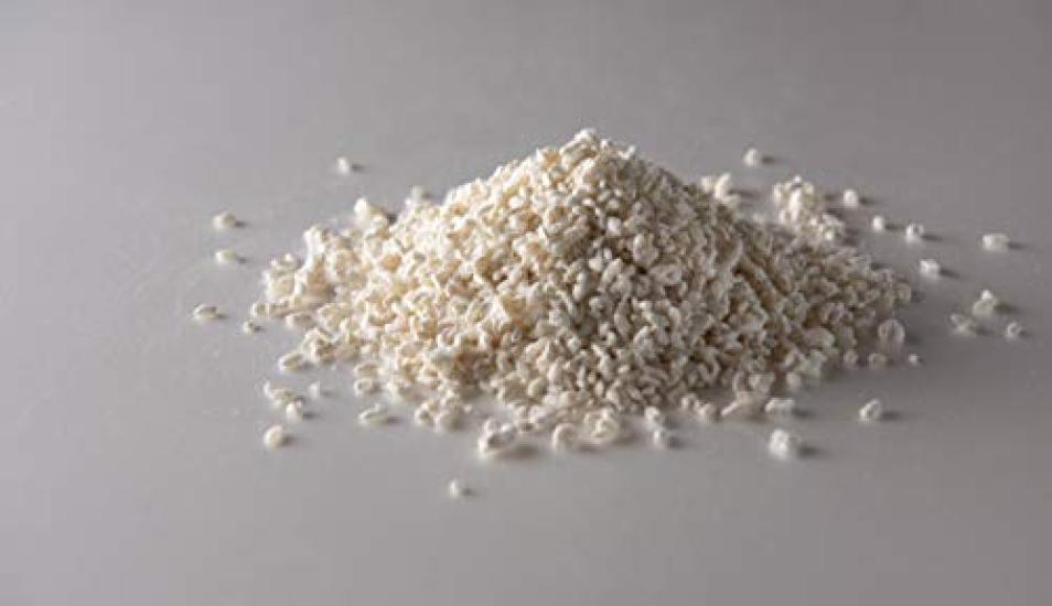 Kojiya Honten Glastopf für Yogurtia S und 3-teiliges Set getrockneter Reis-Koji (Tanika Denki)