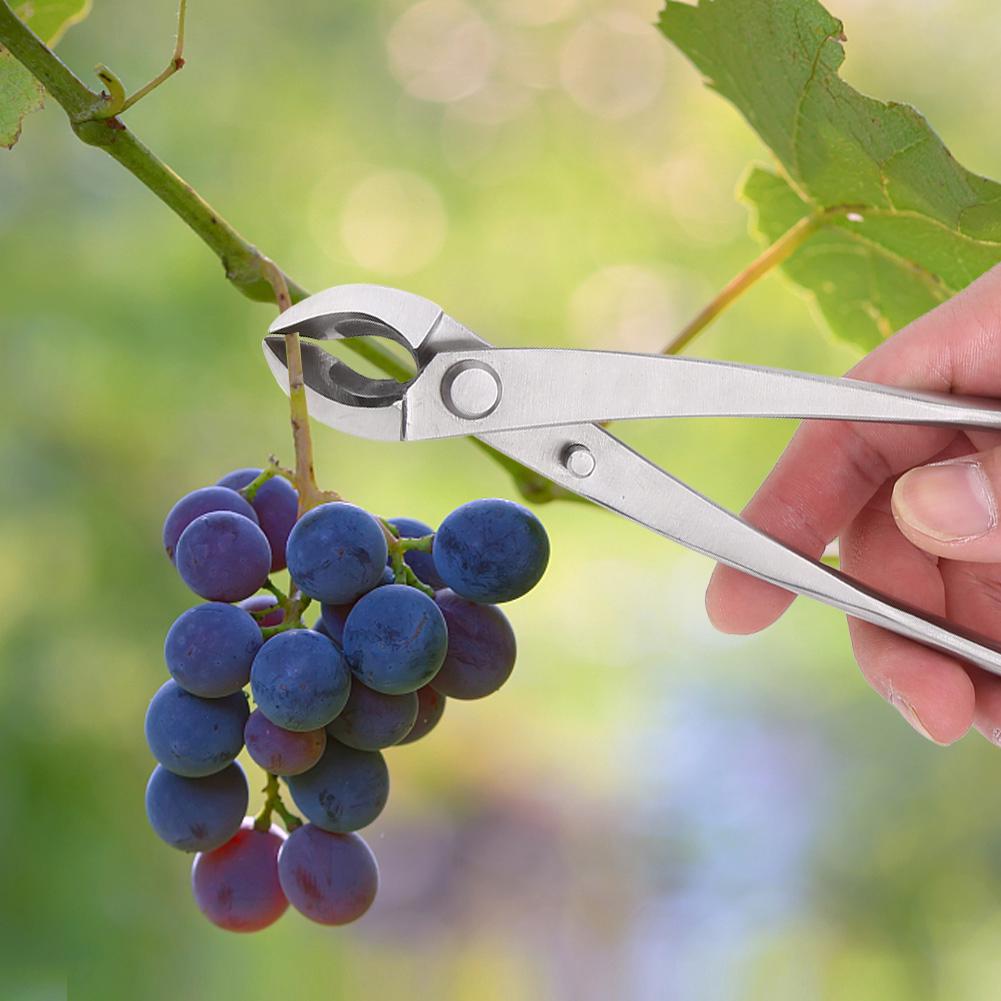 Multifunctional Stainless Steel Branch Cutter Garden Pruning Shear Scissors Bonsai Tools