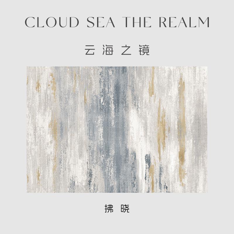 Nordic Style Carpets for Living Room Light Luxury Bedroom Decor Plush Carpet Fluffy Soft Cloakroom Rug Washable Thick Floor Mat