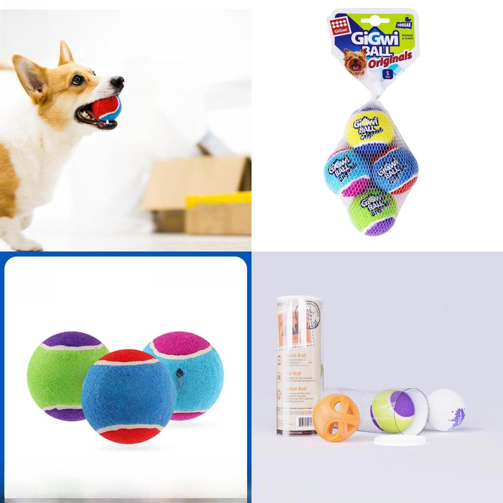 Gi Gwi Squeaky Rubber Pet Toy Pack For Dogs With Chewing And Interactive Play