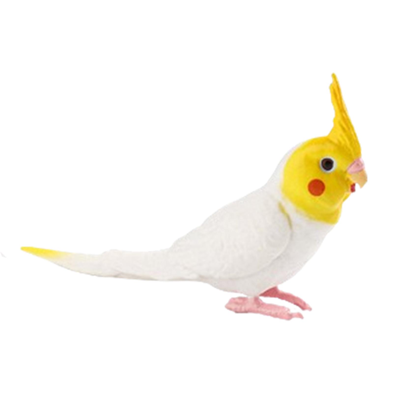 

Garden Bird Ornament Cockatiel Bird Figurines Science Animals Learning Parrot Figurines Toy for DIY Landscaping Bath Toys