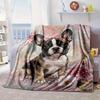 Cartoon Bulldog Stars  Blanket Flannel Blanket Throw Blanket Sofa Cover Blanket Soft Premium Blanket Picnic Blanket Tv Blanket Gifts