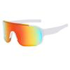 New Outdoor Cycling Sunglasses Ski Goggles Windproof for Mountain Bike Road Sports Large Frame