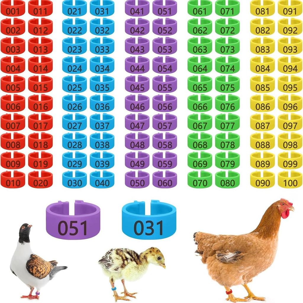 16mm Multi-color Numbered Chicken and Duck Identification Foot Ring