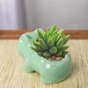 Cute Frog Succulent Planter  Cartoon Animal Creative Flower Pot for Indoor Outdoor Decor