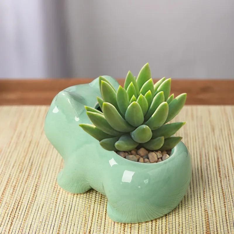 Cute Frog Succulent Planter Cartoon Animal Creative Flower Pot for Indoor Outdoor Decor