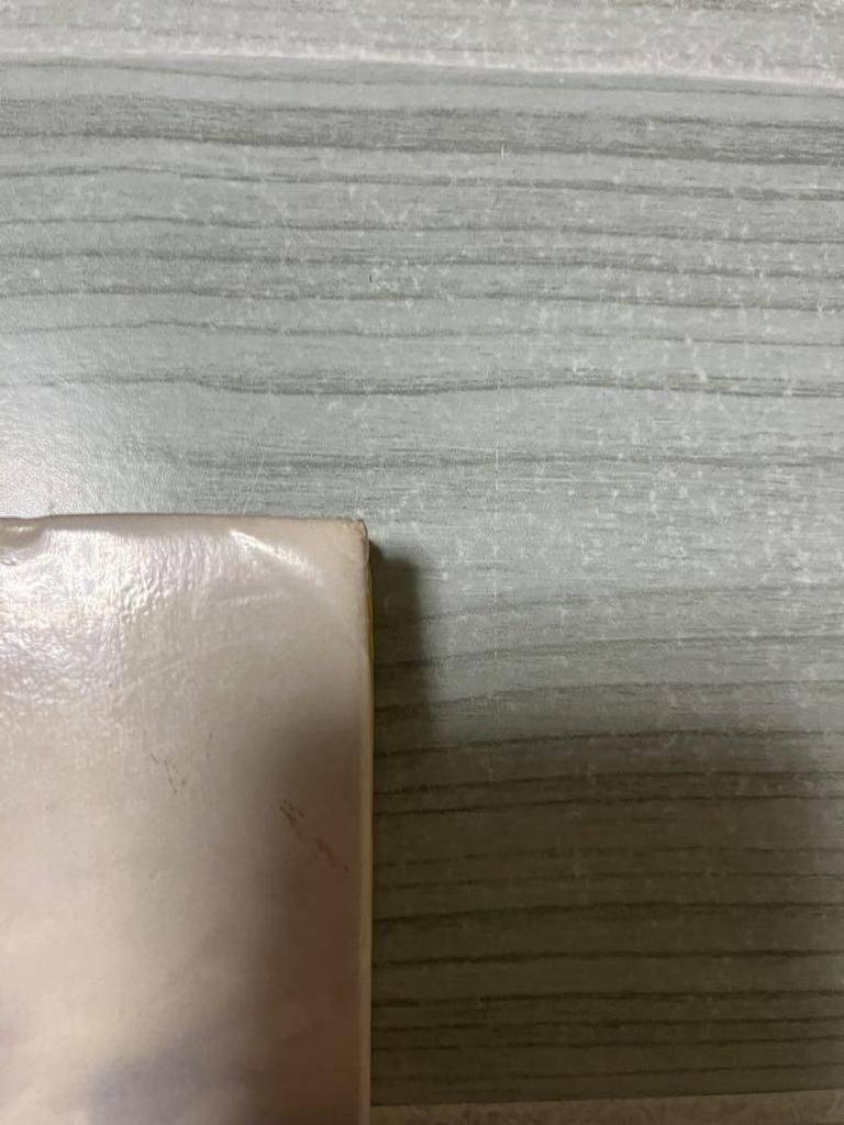 [USED] (Foreign Books)Customized: Art Inspired by Hot Rods