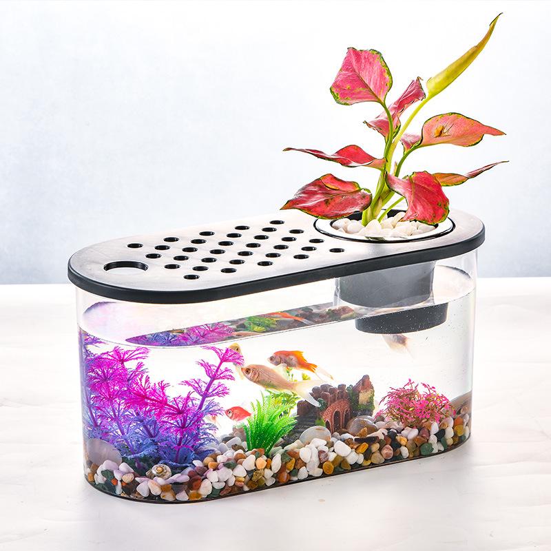 Clear Oval Desktop Fish Tank & Turtle Habitat Ornament