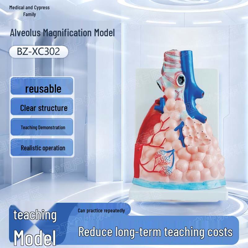 Alveolar Magnification Model
