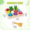 Rainbow Balls Peg Board Game Classify and Match Toys Enhancing Cognitive Abilities Gift Fine