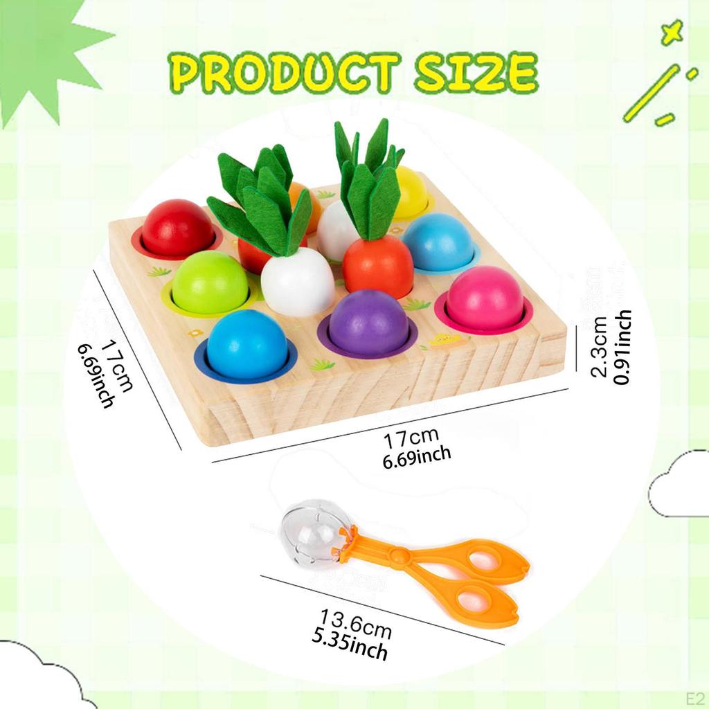 Rainbow Balls Peg Board Game Classify and Match Toys Enhancing Cognitive Abilities Gift Fine