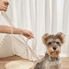Anti-Escape Beaded Dog Leash Bite Resistant Dog Walking Lead Pet Training Leash for Dogs Cats