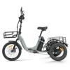 Cysum AG1 Pro Electric Tricycle For Adult 750W Motor 48V 20AH Battery F 20×2.1 / R 16×3.0 KENDA Tire Electric Tricycle