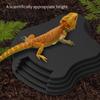 Reptiles Animal Feeding Plate Durable ABS Construction Shallow Water Dish For Turtles Lizards