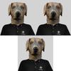 Adorable Labrador Dog Head Mask Cute Animal Costume For Halloween Party Fun Events