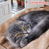 1Pcs Anti Fatigue Kitchen Rugs, Fun Door Print Waterproof Non-Slip Thick Cushioned Mat Comfort Standing Mat