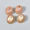 Exaggerated Claw Chain Oval Ultra-bright Earrings and Stud Earrings