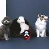 Creative Ring Box Plush Toy Love Diamond Ring Case Soft Chew Toy for Puppies Kids Cute Dog Bitter Interested Toys