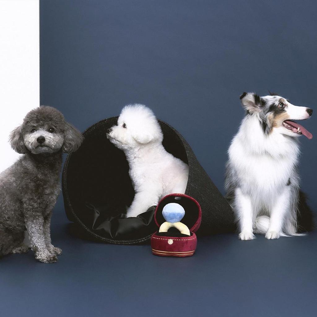 Creative Ring Box Plush Toy Love Diamond Ring Case Soft Chew Toy for Puppies Kids Cute Dog Bitter Interested Toys