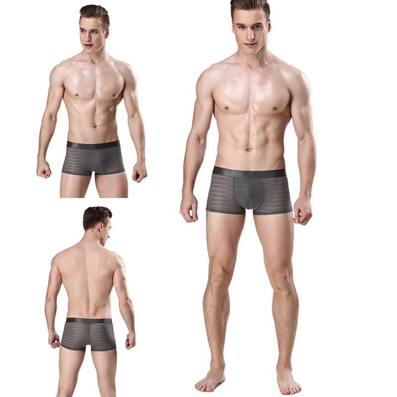 1Pc Men Panties Nylon Solid Color Sheer Mesh Pouch Lingerie Boxer Sexy Underwear Briefs