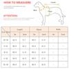 Christmas Pet Cat Costume Clothes for Cats Winter Kedi Katten Sphynx Sweatshirt Hoodie Suit Mascotas Clothing Ropa Para Gato