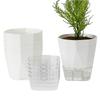 3/6pcs Lazy Hydroponic Flower Pot Automatic Water-Absorbing Flowerpot Transparent Double Layer Plastic Self Watering Planter